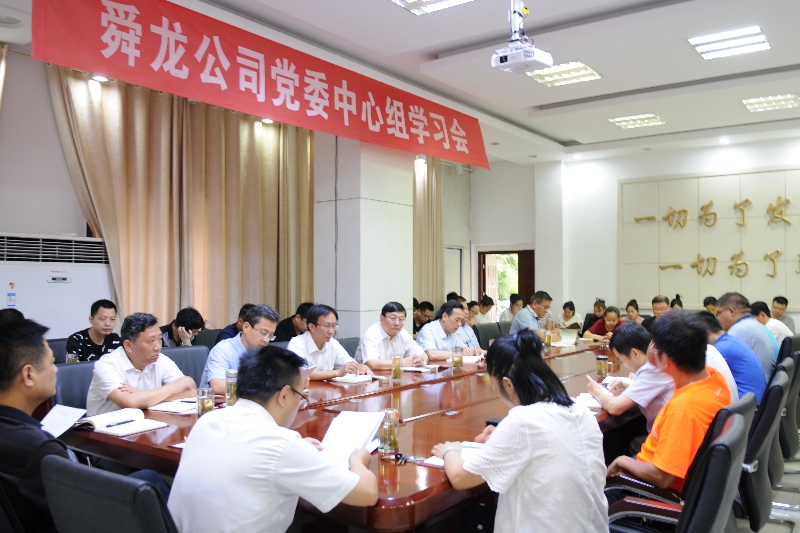 舜龍公司召開“講忠誠、嚴(yán)紀(jì)律、立政德”專題警示教育動(dòng)員會(huì)